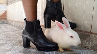 Woman Heels Trampling