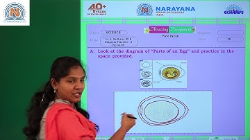 18TH NOV AP & TS CLASS IV SCIENCE AMAZING ASSIGNMENT KEY