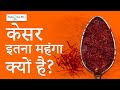 Why Is Saffron So Expensive? | केसर इतना महंगा क्यों है? #HINDI - ASKIGURU