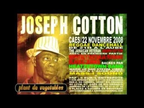 Reggae Iphone Joseph Cotton