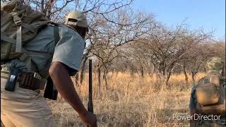 Mentorship walk for FGASA Apprentice Trails Guide