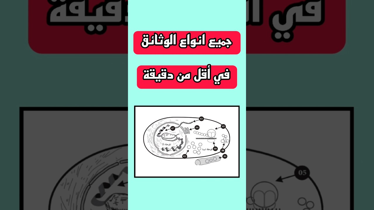 جميع أنواع الوثائق 🎯