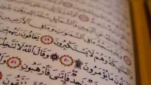 خالد الجليل تلاوة مبكية حزينة مؤثرة لا توصف - لأواخر سورة الزمر