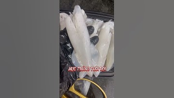 Mực full trứng từng con ạ | MINOS .COM.VN #minos #hảisảnminos #seafood #minos2