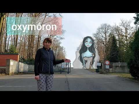 Video: Co Je To Oxymoron