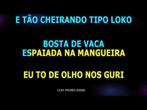 Tchê Garotos • A Gurizada Só Quer Pó • Remix • RMX