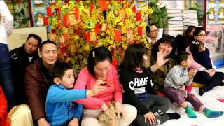 Xuân Đinh Dậu 2017 Chùa Đại Bi Tâm 1 Bjuv Thụy Điển Sweden P5