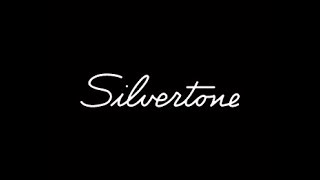 Silvertone 1481 Tube Amplifier