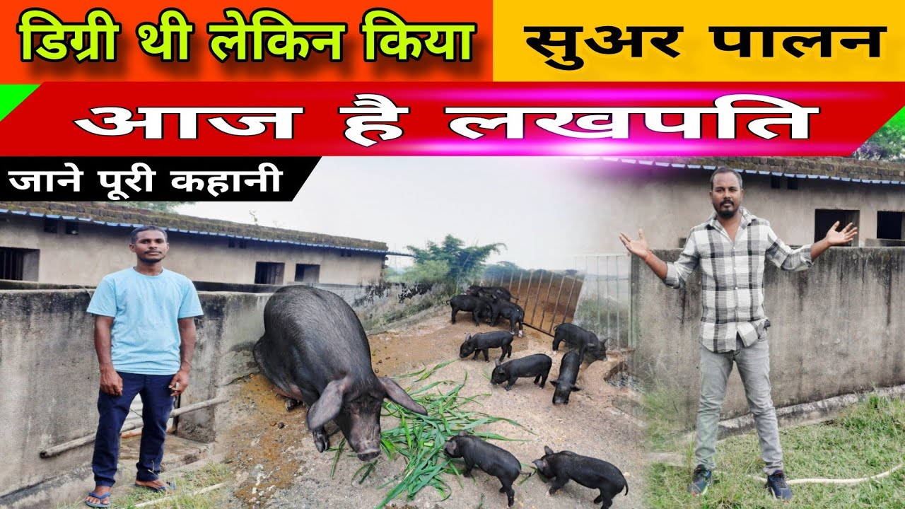 डिग्री थी लेकिन किया || सूअर पालन || आज है लखपति || Rj farmer 2025 