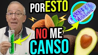 ⚡ AUMENTA TU ENERGIA La Clave Para No Cansarse- Oswaldo Restrepo RSC by Oswaldo Restrepo RSC 94,335 views 1 month ago 13 minutes, 17 seconds