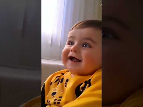 قلبي الصغنن