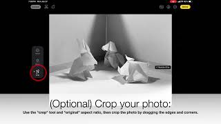 Origami Value Study: Photo Editing Demo screenshot 2