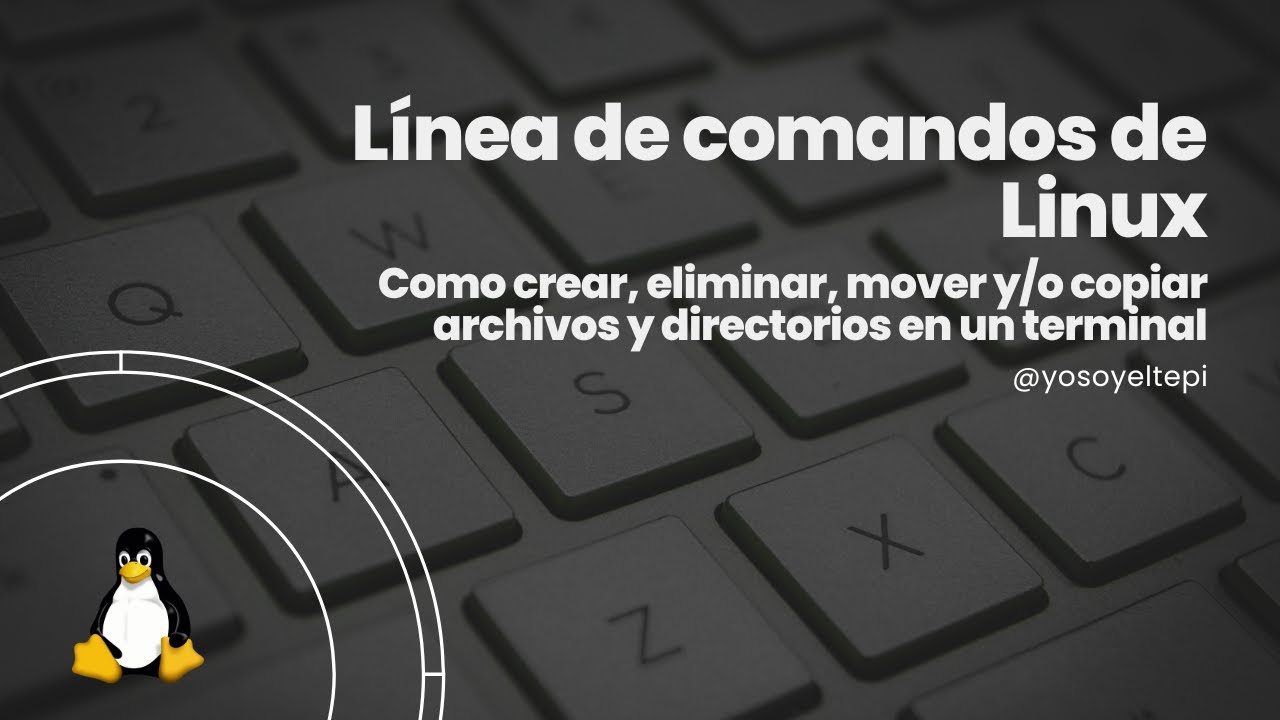 Crear, eliminar, mover y/o copiar archivos y directorios en un terminal ...