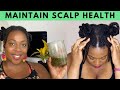 How to Have a Healthy Scalp| Natural Hair and Ayurvedic Hair Care