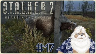 【steam】S.T.A.L.K.E.R.2＃17【初見】