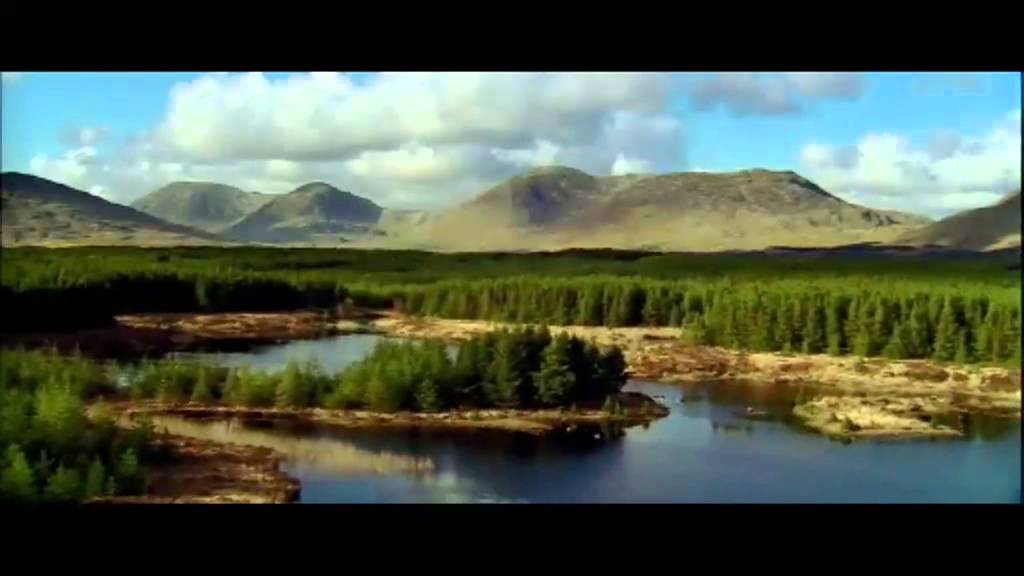 The Gathering Ireland 2013.mov