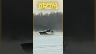 Аэровездеход Нерпа 485 КДА  Дизель 450 л/с Испытание на воде в Сибирские Морозы