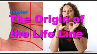 The Origin of the Life Line