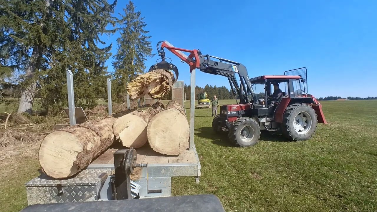 37m Fichte aufarbeiten mit Case IH und Fendt 304. 37m spruce tree got windblown in Bavaria