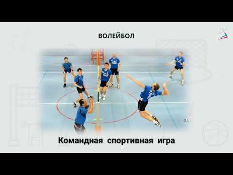 урок физкультуры. история развития волейбола