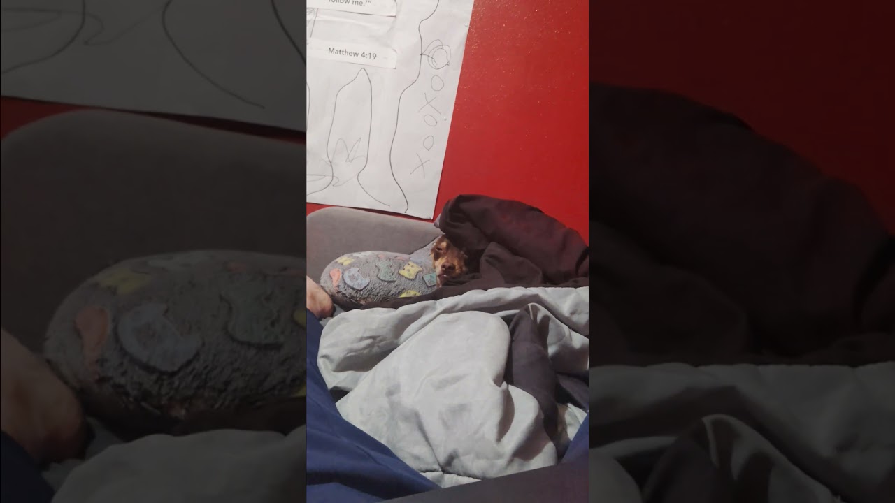 да слит ты, девушка, лорд