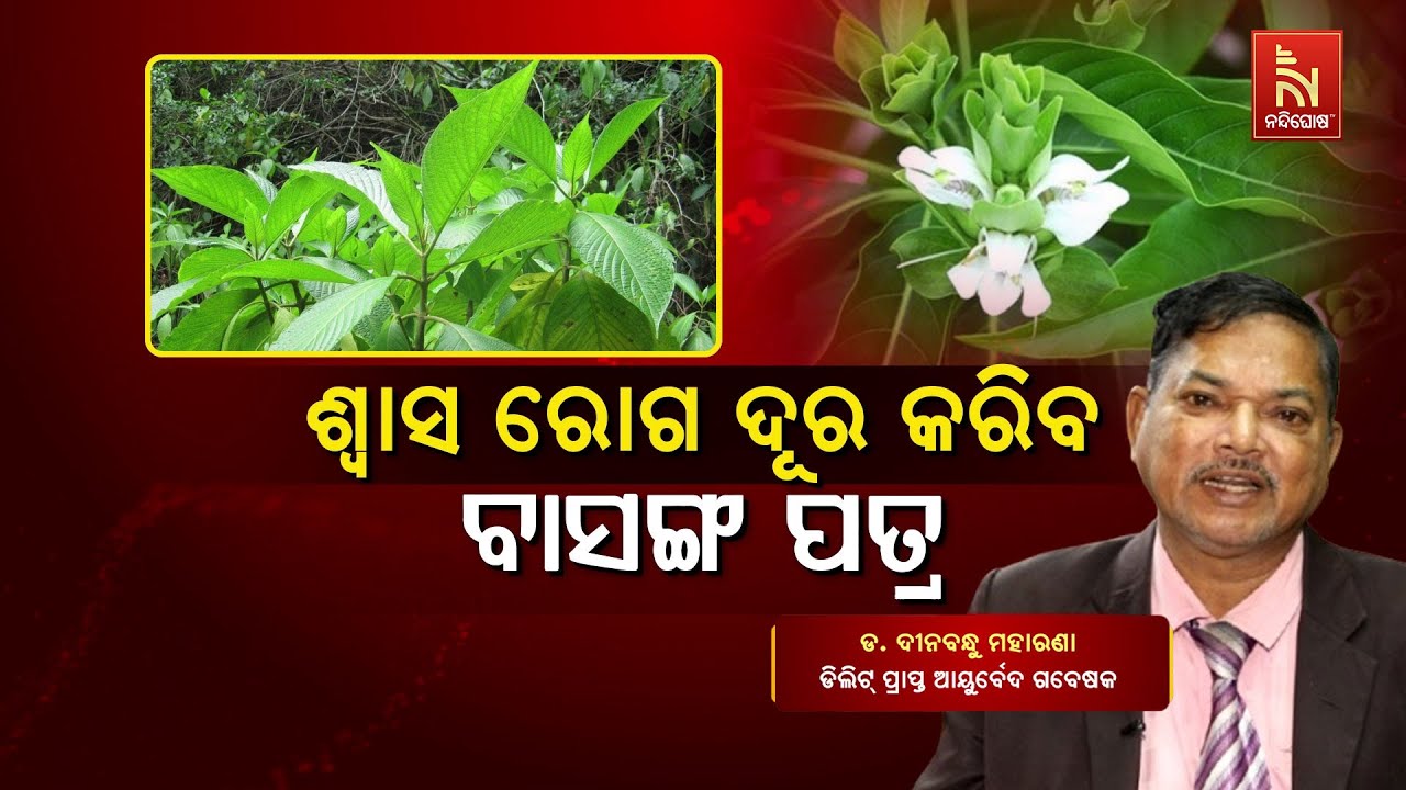 Basanga Leaf Used For The Treatment Of Asthma | Dr. Dinabandhu Moharana | Swasthyasutra