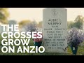 &quot;The Crosses Grow on Anzio&quot; by Audie Murphy, feat. SSG Peter Walker