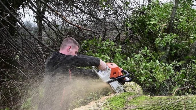 MS 500i, Chainsaws