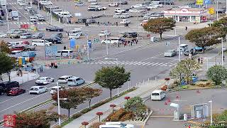 函館駅前ライブカメラ2(路面電車) のライブ映像