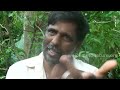 No Cancer in Ayurveda | Chemotherapy will Destroy Immune System