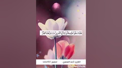 (فلما دخلوا عليه) من سورة يوسف | أحمد المعمري