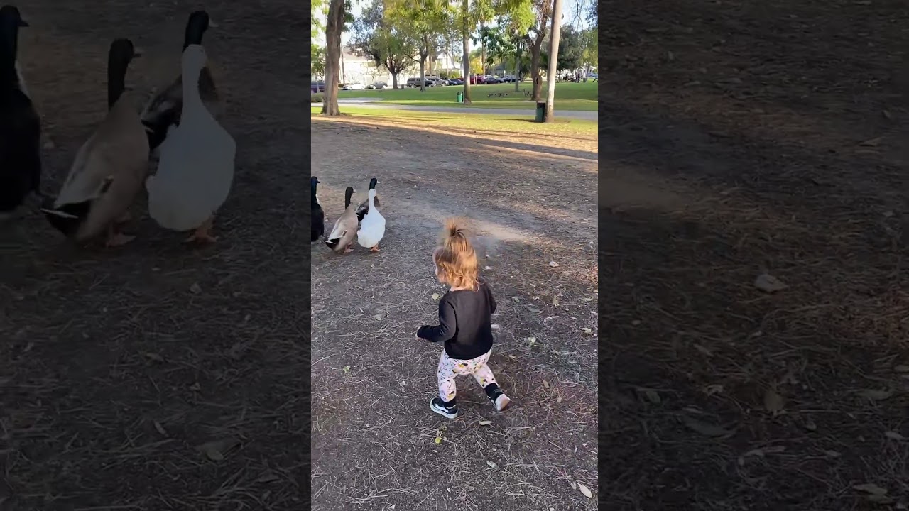 Ducks and Boots!!!!!❤️❤️❤️