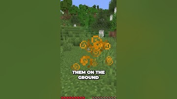 How To ACTUALLY Use Splash Potions