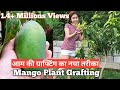 आम की ग्राफ्टिंग / कलम लगाना सीखें सिर्फ 10 मिनट में | Mango plant grafting technique