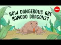 Komodo Dragon Quiz
