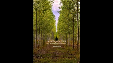 وبشر المخبتين الذين إذا ذكر الله وجلت قلوبهم والصابرين على ما أصابهم؟(القارئ عبد الباسط عبد الصمد)