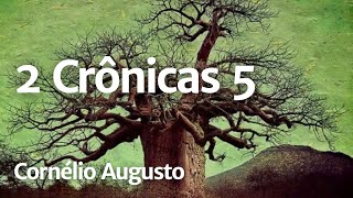 Biblia Falada 2 Cronicas 05