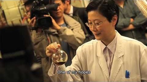 The Vision of a Scientist: Professor Vivian Yam