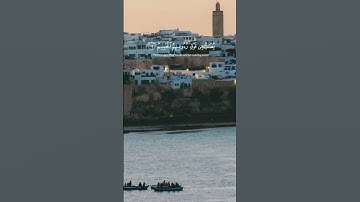 سورة الحج الآية ١٩ . ٢٤ ياسر الدوسري #قرآن_كريم_راحة_نفسية #ايات 🌻🌲