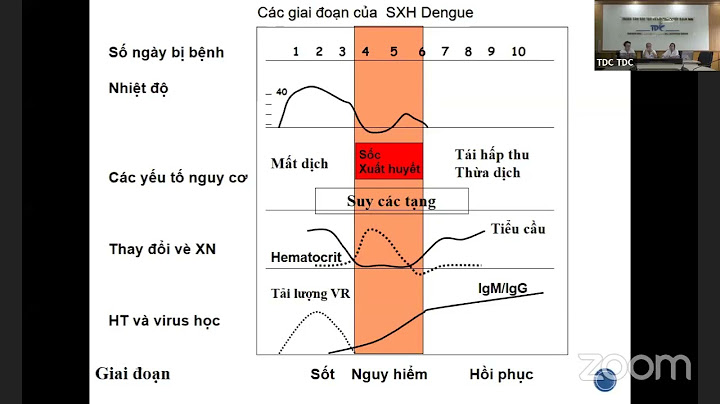 Quyết định 581 hướng dẫn chẩn đoán điều trị sxh năm 2024