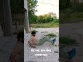 pet fat kam best exercise #viralvideo #loosebodyweight #shortvideo #challenge