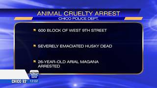 Husky found dead in Chico garage, owner faces felony charges
