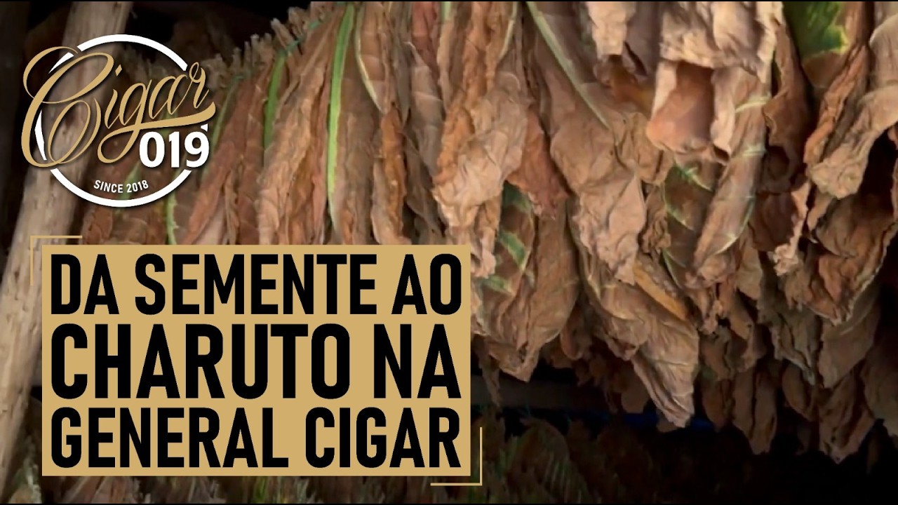 CIGAR 019 - Da semente ao charuto na General Cigar da República Dominicana