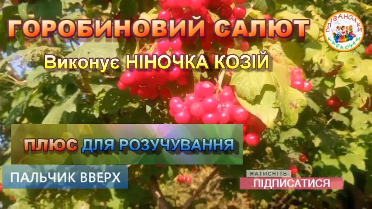 Втулка сальт плюс
