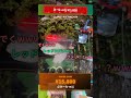 女に水かけるなってMAJIDEwwwこの配信ヤバすぎるwww #gimmickstream #automobile #ゲーム実況 #ドッキリ