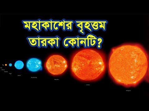 মহাকাশের বৃহত্তম তারকা কোনটি? | Which is the biggest star in space? | Tech and Legend