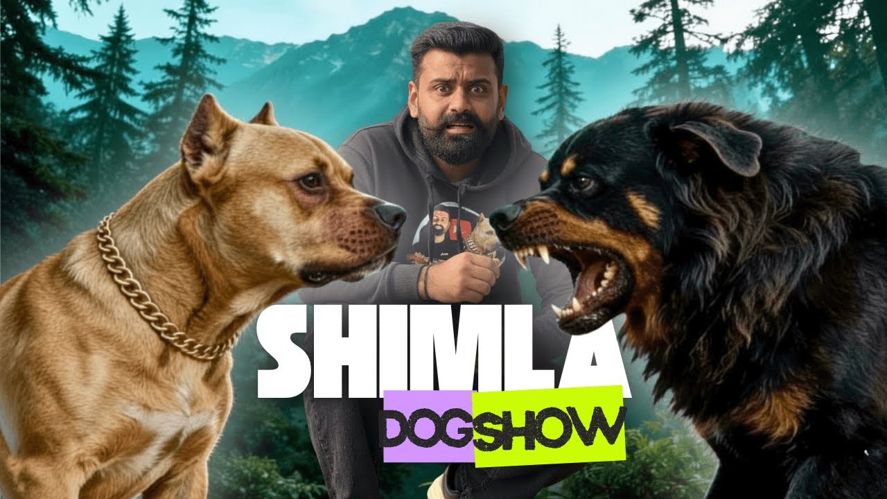 We Took Bully to Shimla’s Biggest Dog Show in New Bolero Neo ! 🥶