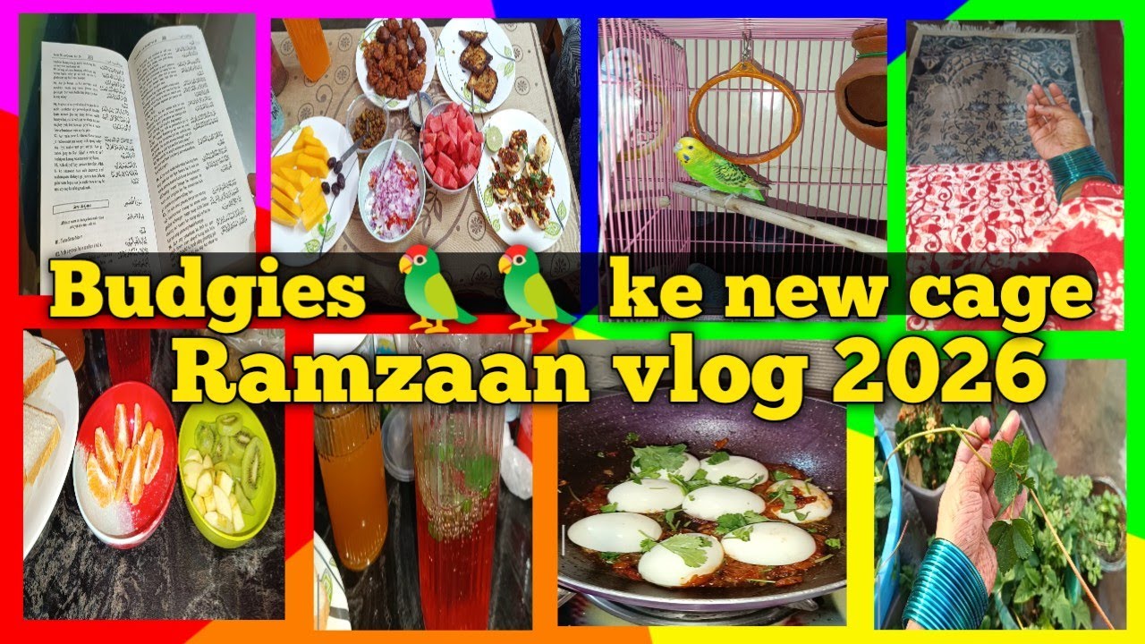Ramzaan kareem//Ramzaan vlog✨ 2026//buggies 🦜🦜