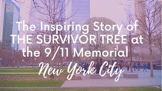 The Little Known Story of the 911 Survivor Tree - Jewish Sacred Aging