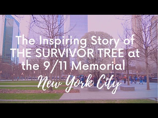 Big Apple Secrets: The Survivor Tree at the 9/11 Memorial Plaza